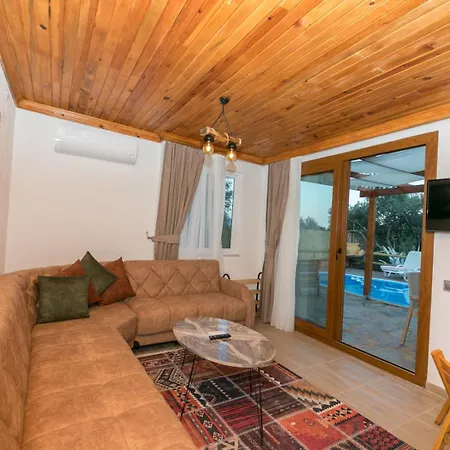 Ceren Akyaka Daily Weekly *