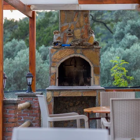 Ceren Akyaka Daily Weekly