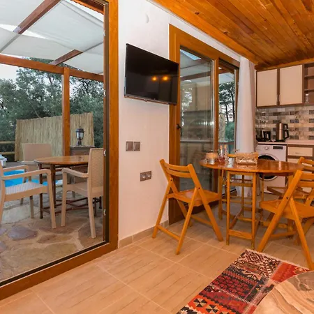 Ceren Akyaka Daily Weekly